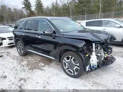 KM8R4DGE2SU841216 2025 HYUNDAI PALISADE