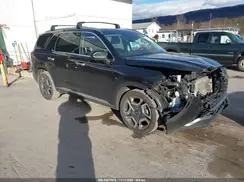 KM8R4DGE3RU667991 2024 HYUNDAI PALISADE