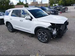 KM8R4DGE3SU868876 2025 HYUNDAI PALISADE
