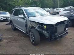 KM8R4DGE4PU625391 2023 HYUNDAI PALISADE