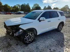 KM8R4DGE4RU692592 2024 HYUNDAI PALISADE
