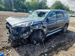 KM8R4DGE4SU812820 2025 HYUNDAI PALISADE