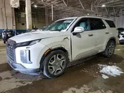 KM8R4DGE5RU689314 2024 HYUNDAI PALISADE