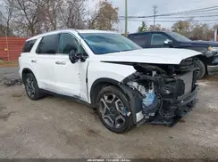 KM8R4DGE5RU710873 2024 HYUNDAI PALISADE