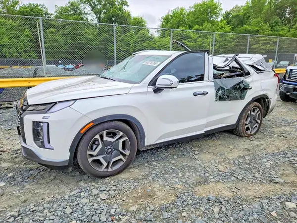 KM8R4DGE5RU804784 2024 HYUNDAI PALISADE - Image 1