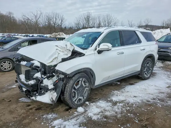 KM8R4DGE5SU901487 2025 HYUNDAI PALISADE - Image 1