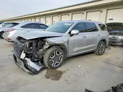 KM8R4DGE6SU824600 2025 HYUNDAI PALISADE