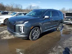 KM8R4DGE6SU829599 2025 HYUNDAI PALISADE