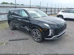 KM8R4DGE6SU871335 2025 HYUNDAI PALISADE