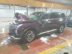 KM8R4DGE7RU730588 2024 HYUNDAI PALISADE