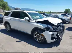 KM8R4DGE7RU765583 2024 HYUNDAI PALISADE