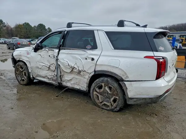 KM8R4DGE8RU741583 2024 HYUNDAI PALISADE - Image 2