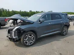 KM8R4DGE9SU827927 2025 HYUNDAI PALISADE
