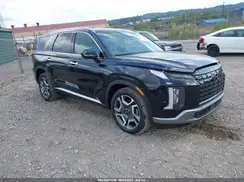KM8R4DGE9SU928529 2025 HYUNDAI PALISADE