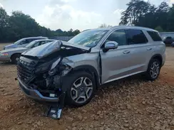 KM8R4DGE9SU937120 2025 HYUNDAI PALISADE