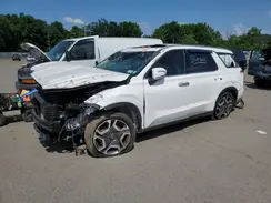 KM8R4DGEXRU667308 2024 HYUNDAI PALISADE