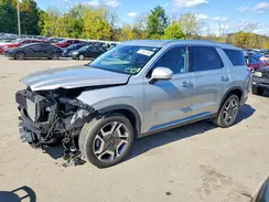 KM8R4DGEXRU771443 2024 HYUNDAI PALISADE