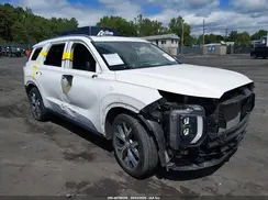 KM8R4DHE0LU079391 2020 HYUNDAI PALISADE