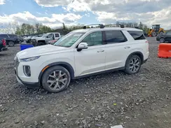 KM8R4DHE0LU135104 2020 HYUNDAI PALISADE