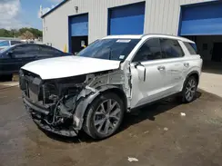 KM8R4DHE0LU172024 2020 HYUNDAI PALISADE