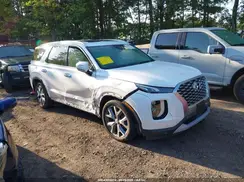KM8R4DHE1LU077293 2020 HYUNDAI PALISADE