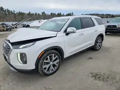 KM8R4DHE1LU081313 2020 HYUNDAI PALISADE
