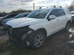 KM8R4DHE2LU155368 2020 HYUNDAI PALISADE