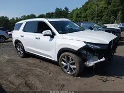 KM8R4DHE2LU169562 2020 HYUNDAI PALISADE
