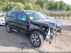 KM8R4DHE5LU065194 2020 HYUNDAI PALISADE