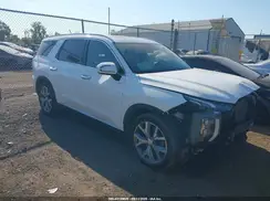 KM8R4DHE6LU088001 2020 HYUNDAI PALISADE