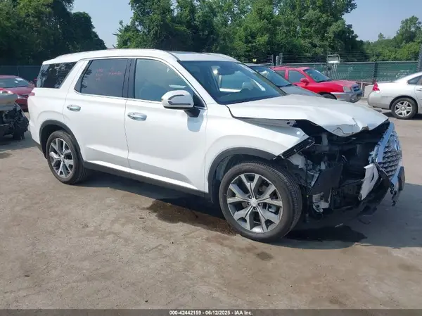 KM8R4DHE6LU130506 2020 HYUNDAI PALISADE - Image 1