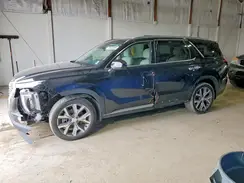 KM8R4DHE9LU040251 2020 HYUNDAI PALISADE