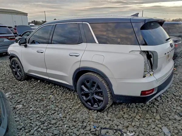 KM8R4DHE9LU098974 2020 HYUNDAI PALISADE - Image 2