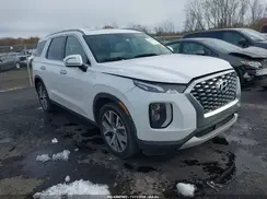 KM8R4DHEXLU066051 2020 HYUNDAI PALISADE