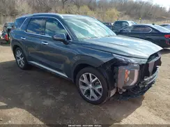 KM8R4DHEXLU094304 2020 HYUNDAI PALISADE