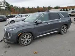 KM8R4DHEXLU172080 2020 HYUNDAI PALISADE