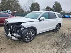 KM8R54GE0RU663460 2024 HYUNDAI PALISADE