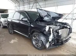KM8R54GE2RU698386 2024 HYUNDAI PALISADE