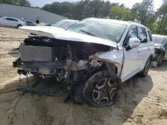 KM8R54GE6RU673765 2024 HYUNDAI PALISADE