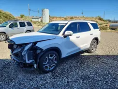 KM8R54GEXRU666270 2024 HYUNDAI PALISADE