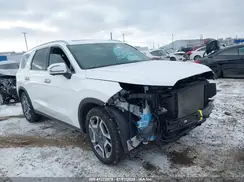 KM8R54GEXRU719436 2024 HYUNDAI PALISADE