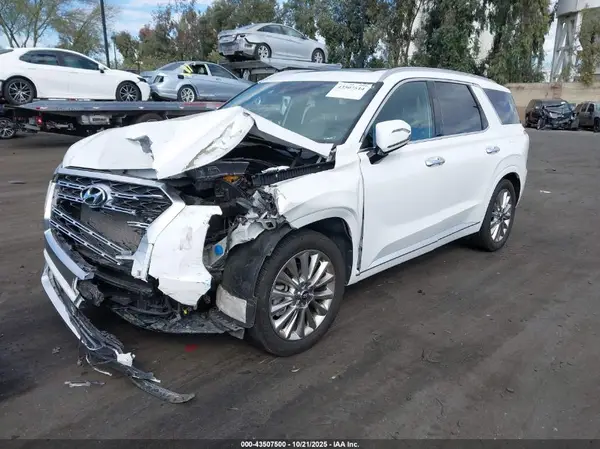 KM8R54HE9LU141156 2020 HYUNDAI PALISADE - Image 2