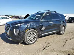 KM8R54HE9LU165666 2020 HYUNDAI PALISADE