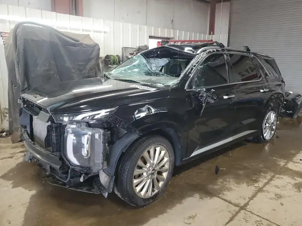 KM8R54HEXLU126391 2020 HYUNDAI PALISADE - Image 1