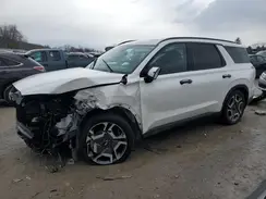 KM8R5DGE1PU598339 2023 HYUNDAI PALISADE