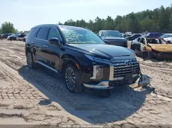 KM8R5DGE1SU890646 2025 HYUNDAI PALISADE