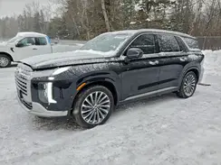 KM8R5DGE1SU893644 2025 HYUNDAI PALISADE
