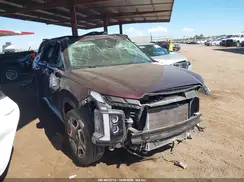 KM8R5DGE3RU667101 2024 HYUNDAI PALISADE