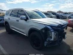 KM8R5DGE3RU740368 2024 HYUNDAI PALISADE