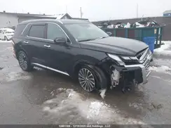 KM8R5DGE3SU818069 2025 HYUNDAI PALISADE